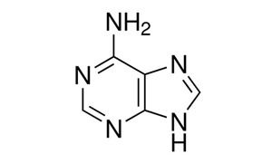 ADENINE (FOR BIOCHEMISTRY)