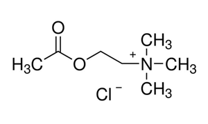 ACETYL CHOLINE CHLORIDE AR