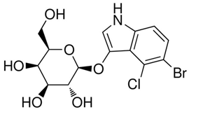 5-BROMO-4-CHLORO-3-INDOLYL-B-D-GALCTOPYRANOSIDE (X-GAL) MB GRADE