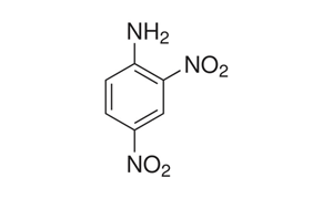 2,4-DINITROANILINE