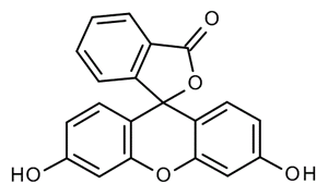 FLUORESCEIN (FOR MICROSCOPY) (C.I. NO. 45350)