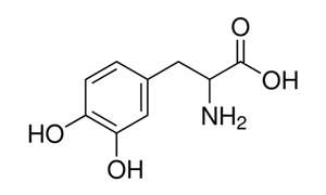DL-DOPA (FOR BIOCHEMISTRY)