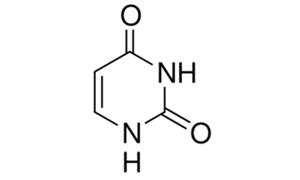 URACIL (FOR BIOCHEMISTRY)