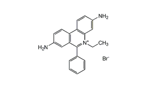 ETHIDIUM BROMIDE SOLUTION ~1% IN WATER (FOR FLUORESCENCE)
