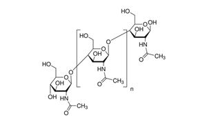 CHITIN FLAKES